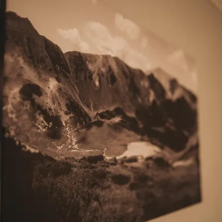 Sv Hotel&camp 호텔 *